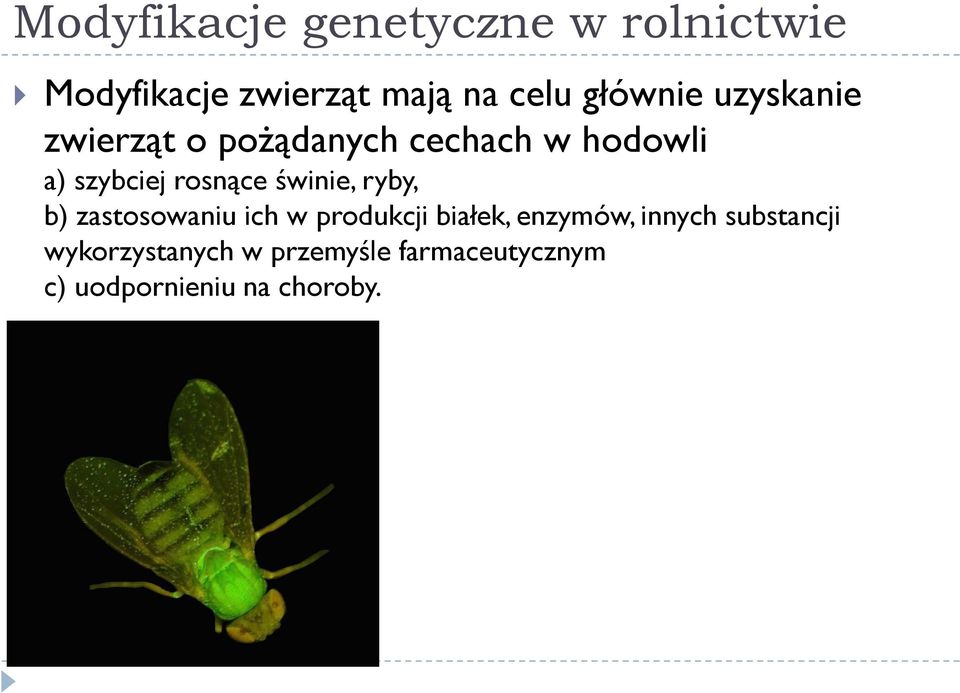 rosnące świnie, ryby, b) zastosowaniu ich w produkcji białek, enzymów,