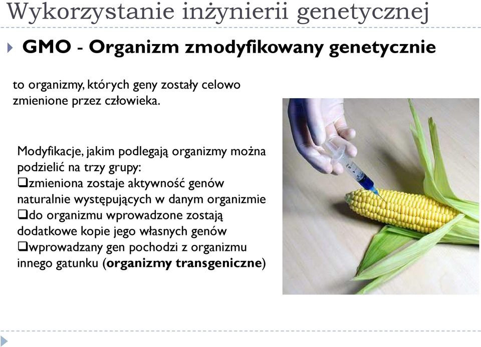 Modyfikacje, jakim podlegają organizmy moŝna podzielić na trzy grupy: zmieniona zostaje aktywność genów