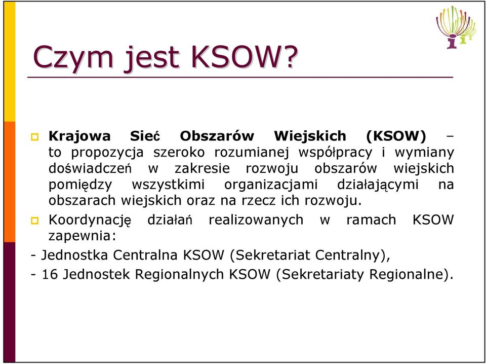 zakresie rozwoju obszarów wiejskich pomiędzy wszystkimi organizacjami działającymi na obszarach wiejskich