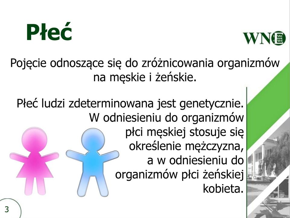 W odniesieniu do organizmów płci męskiej stosuje się