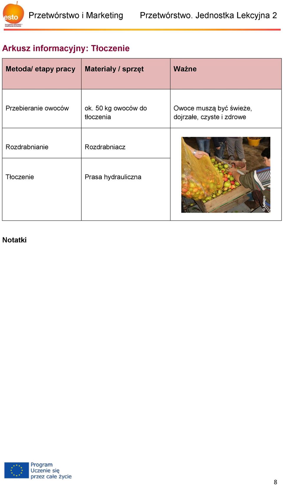 Materiały / sprzęt Ważne Przebieranie owoców ok.