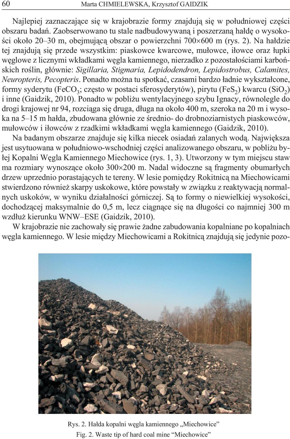 Na hałdzie tej znajdują się przede wszystkim: piaskowce kwarcowe, mułowce, iłowce oraz łupki węglowe z licznymi wkładkami węgla kamiennego, nierzadko z pozostałościami karbońskich roślin, głównie: