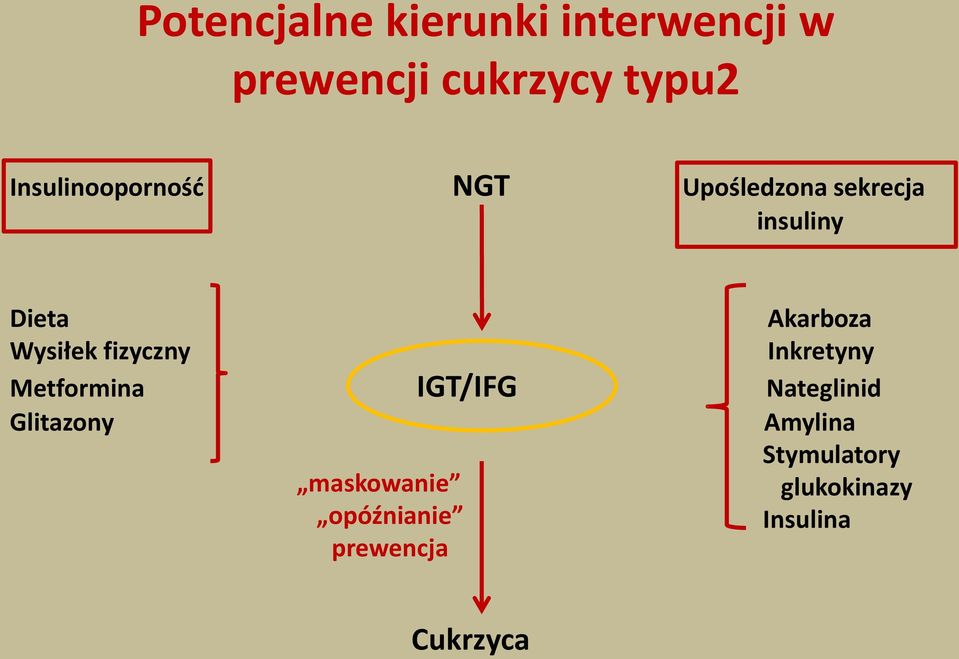 Wysiłek fizyczny Inkretyny Metformina IGT/IFG Nateglinid Glitazony