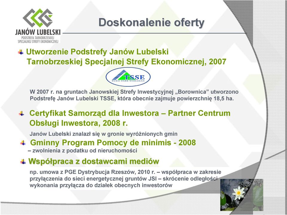 Certyfikat Samorząd dla Inwestora Partner Centrum Obsługi Inwestora, 2008 r.