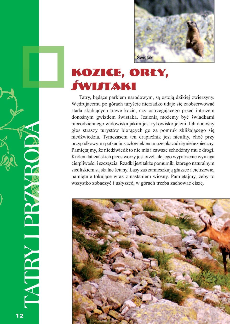 Jesienią możemy być świadkami niecodziennego widowiska jakim jest rykowisko jeleni. Ich donośny głos straszy turystów biorących go za pomruk zbliżającego się niedźwiedzia.