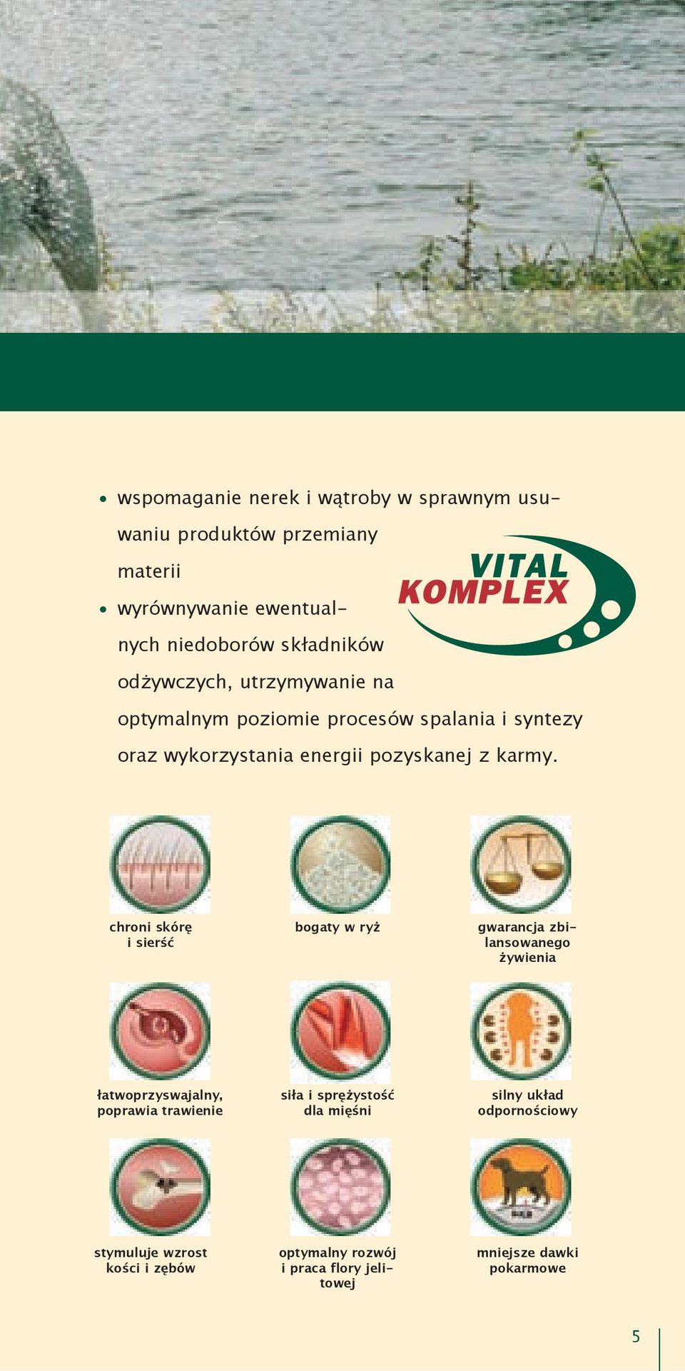 chroni skórę i sierść bogaty w ryż gwarancja zbilansowanego żywienia łatwoprzyswajalny, poprawia trawienie siła i sprężystość