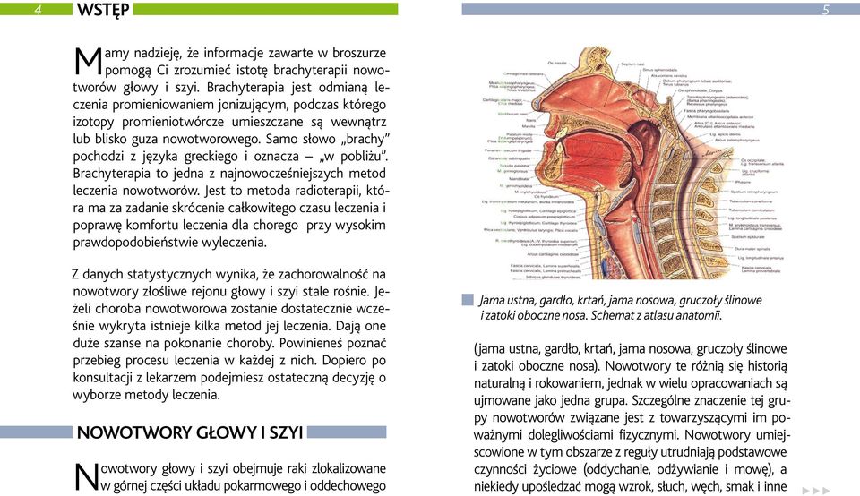 Samo słowo brachy pochodzi z języka greckiego i oznacza w pobliżu. Brachyterapia to jedna z najnowocześniejszych metod leczenia nowotworów.