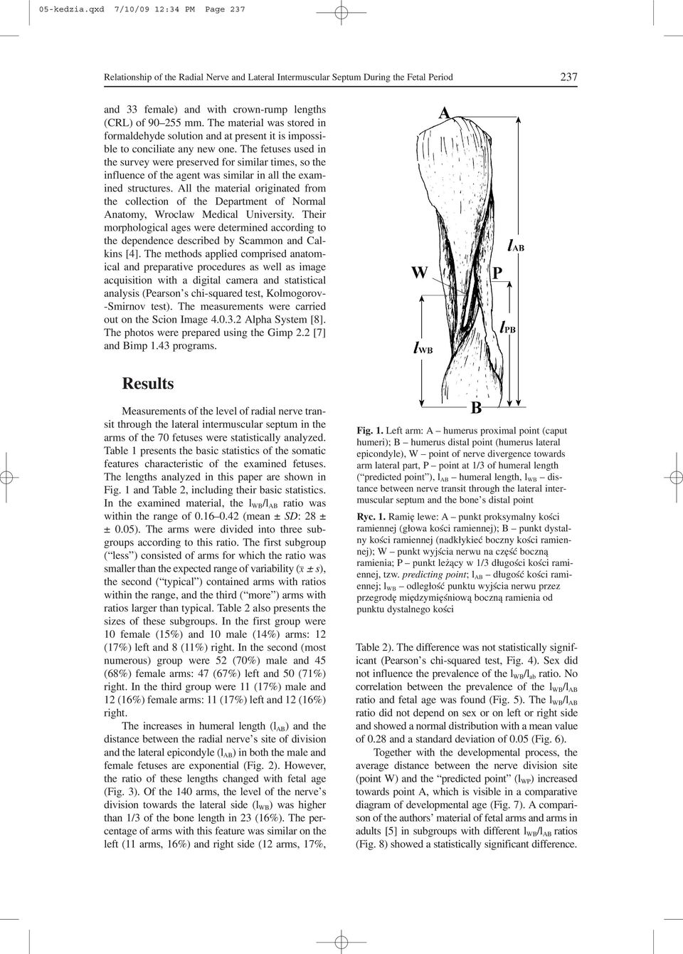 The fetuses used in the survey were preserved for similar times, so the influence of the agent was similar in all the exam ined structures.