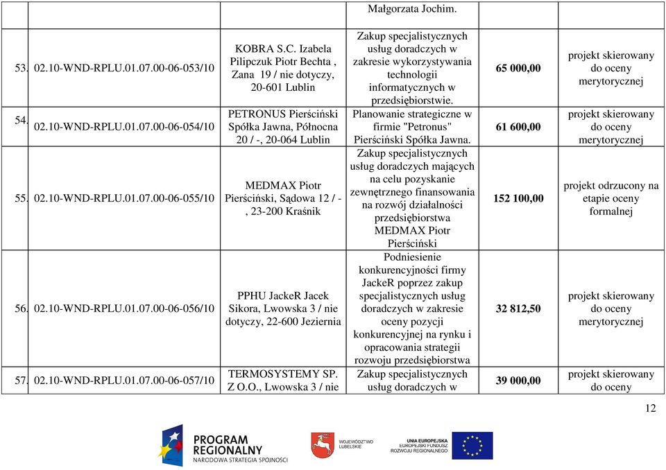 Z O.O., Lwowska 3 / nie Zakup specjalistycznych usług doradczych w zakresie wykorzystywania technologii informatycznych w przedsiębiorstwie.