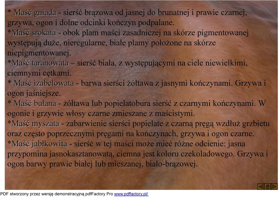 *Maść taranowata sierść biała, z występującymi na ciele niewielkimi, ciemnymi cętkami. * Maść izabelowata-barwa sierści żółtawa z jasnymi kończynami. Grzywa i ogon jaśniejsze.