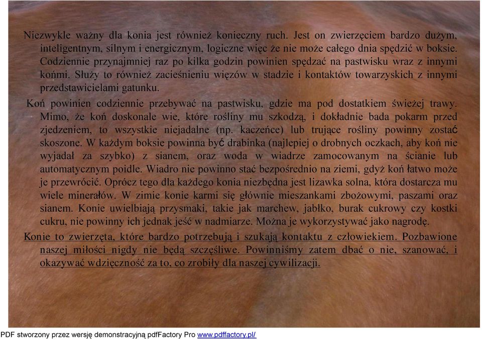 Służy to również zacieśnieniu więzów w stadzie i kontaktów towarzyskich z innymi przedstawicielami gatunku. Koń powinien codziennie przebywać na pastwisku, gdzie ma pod dostatkiem świeżej trawy.