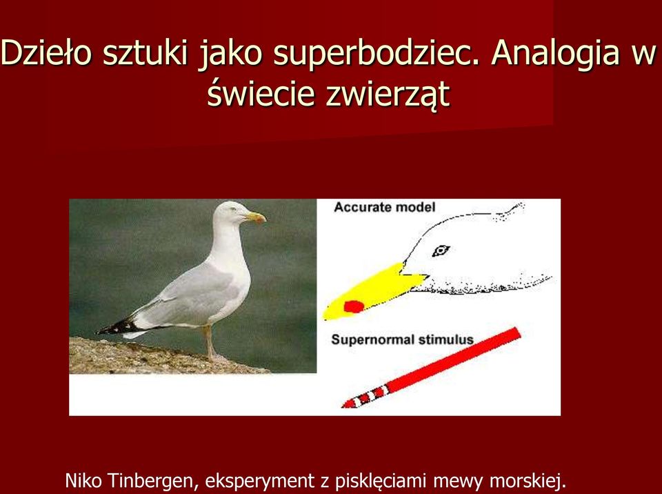 Analogia w świecie zwierząt