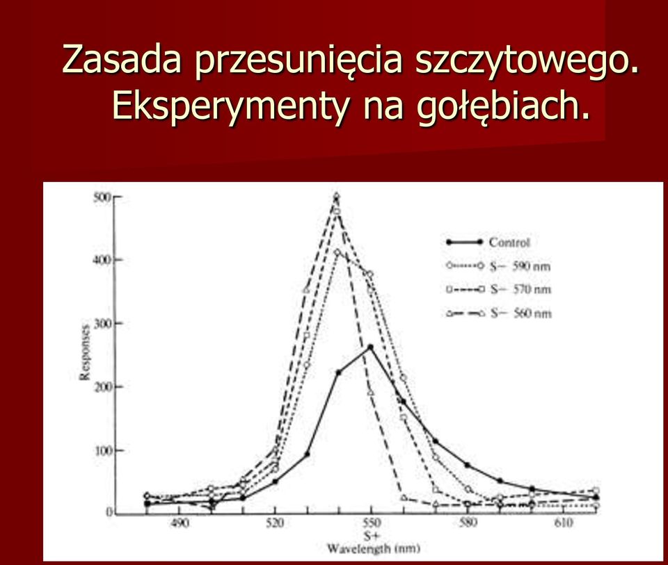 szczytowego.