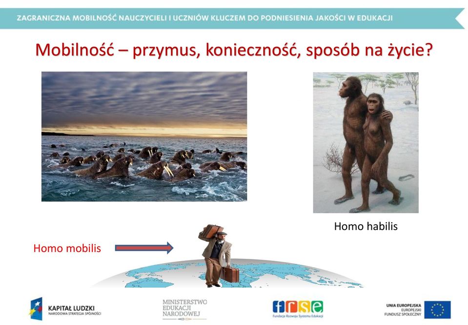 sposób na życie?