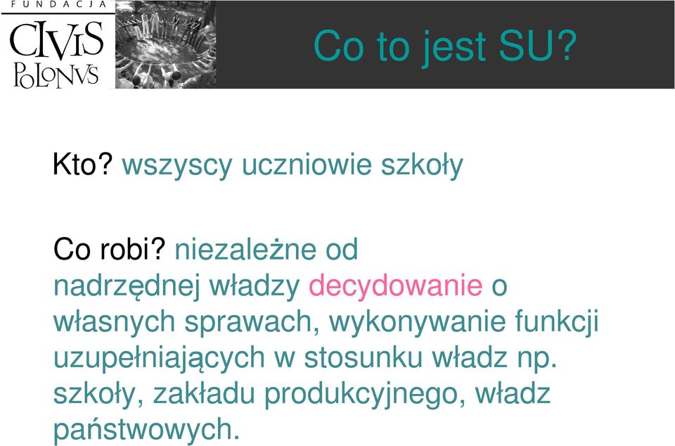 sprawach, wykonywanie funkcji uzupełniających w stosunku