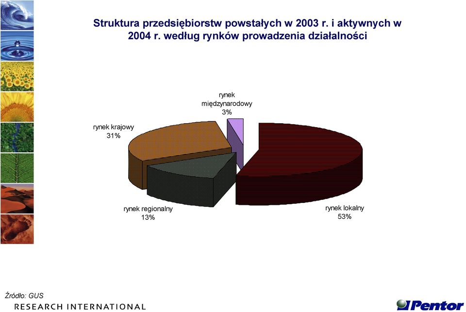 według rynków prowadzenia działalności rynek