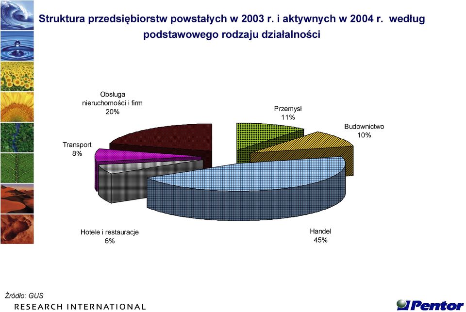 według podstawowego rodzaju działalności Transport 8%