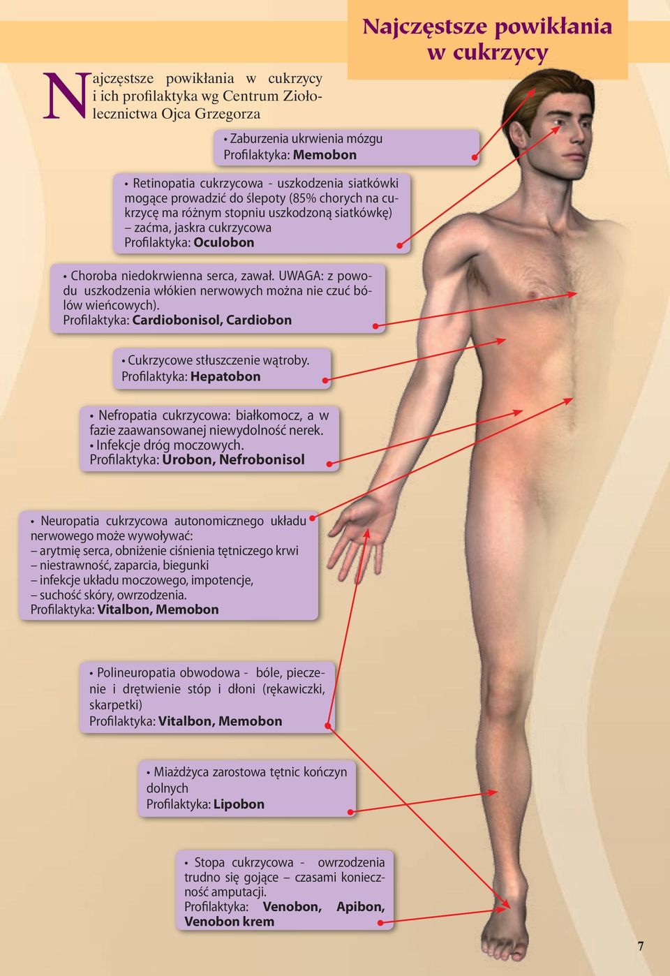 UWAGA: z powodu uszkodzenia włókien nerwowych można nie czuć bólów wieńcowych). Profilaktyka: Cardiobonisol, Cardiobon Najczęstsze powikłania w cukrzycy Cukrzycowe stłuszczenie wątroby.