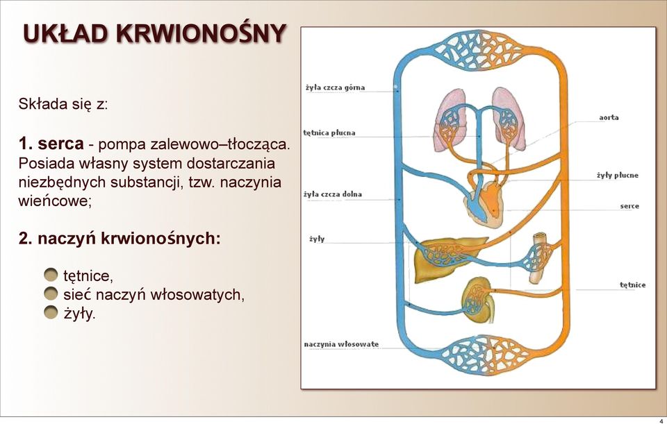 Posiada własny system dostarczania niezbędnych