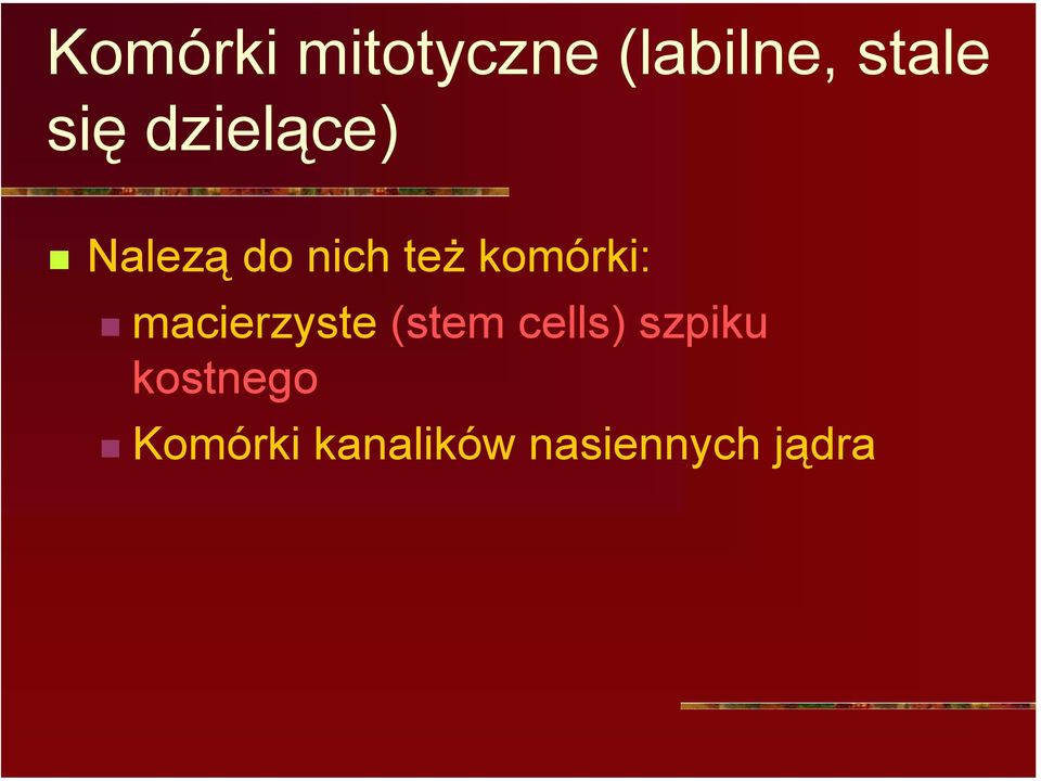 macierzyste (stem cells) szpiku
