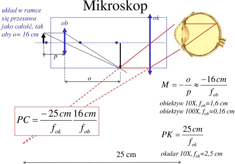 5cm 6cm ok ob obiektyw 0X, ob =,6 cm obiektyw