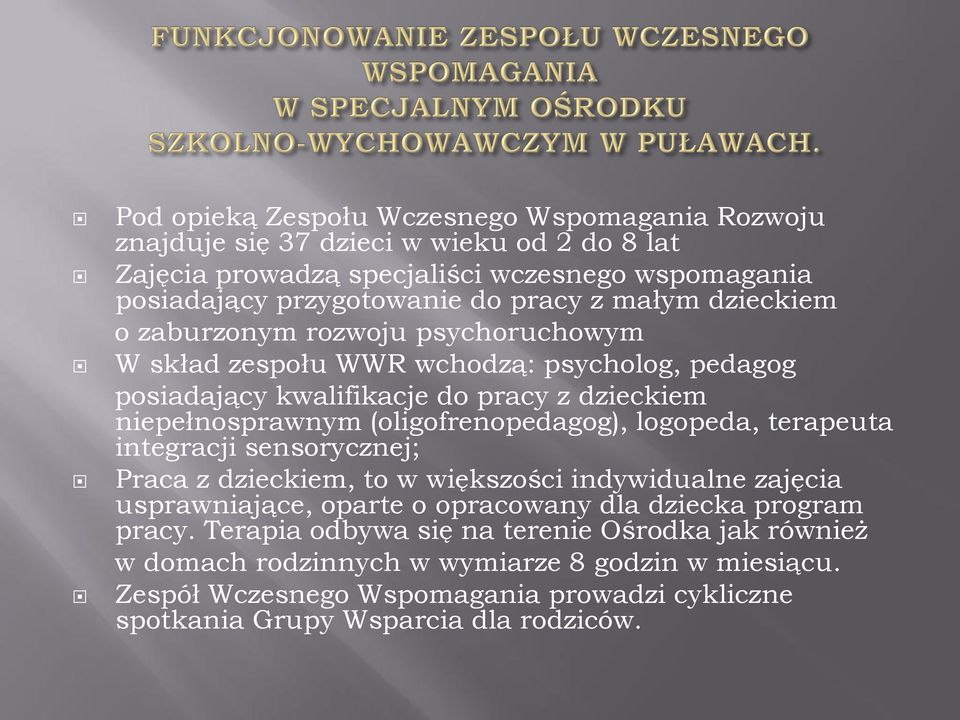 (oligofrenopedagog), logopeda, terapeuta integracji sensorycznej; Praca z dzieckiem, to w większości indywidualne zajęcia usprawniające, oparte o opracowany dla dziecka program