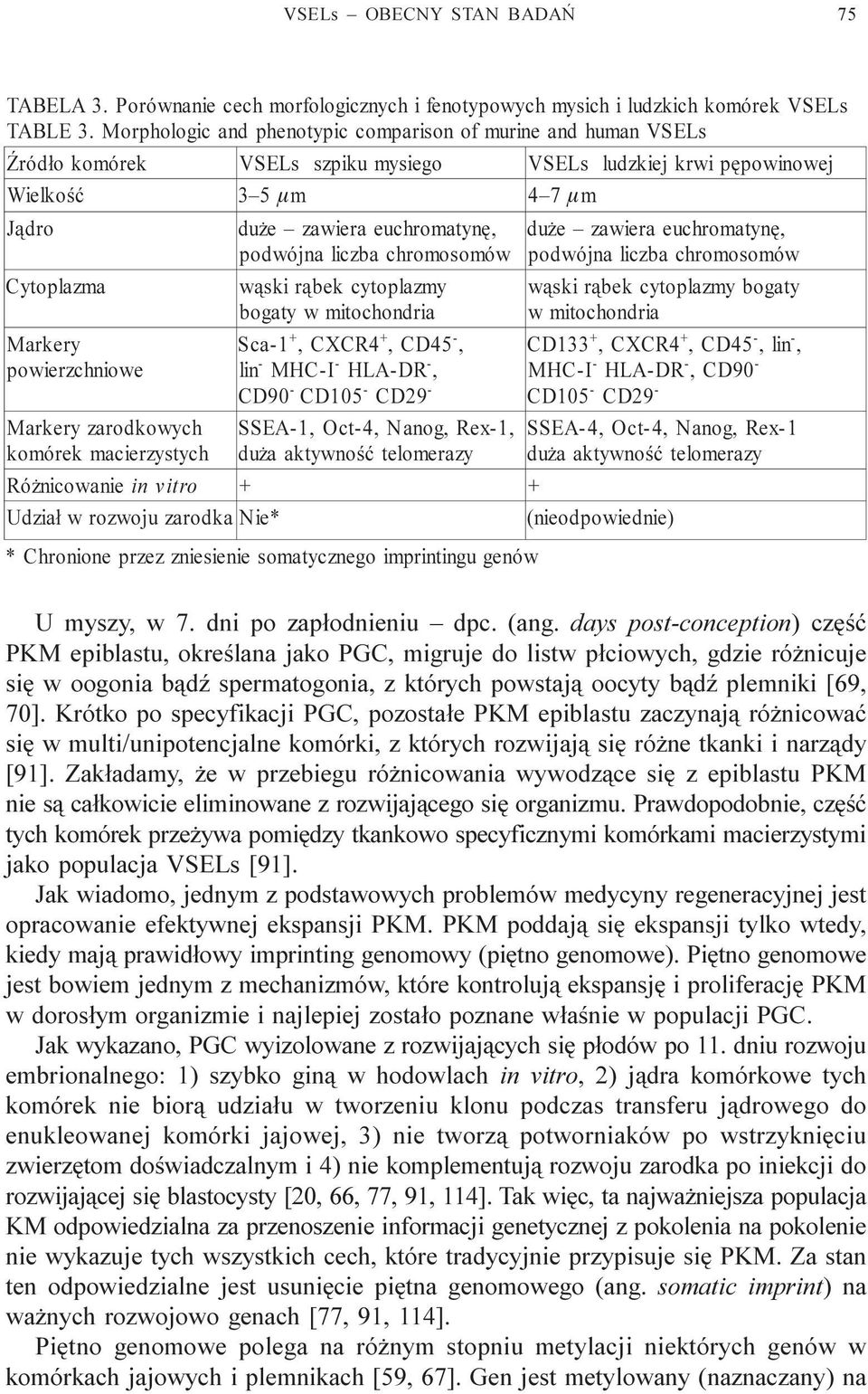 liczba chromosomów du e zawiera euchromatynê podwójna liczba chromosomów Cytoplazma w¹ski r¹bek cytoplazmy bogaty w mitochondria w¹ski r¹bek cytoplazmy bogaty w mitochondria Markery powierzchniowe