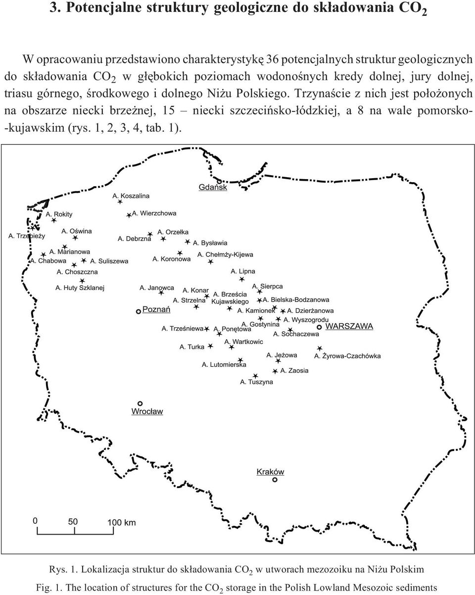 Trzynaœcie z nich jest po³o onych na obszarze niecki brze nej, 15 niecki szczeciñsko-³ódzkiej, a 8 na wale pomorsko- -kujawskim (rys. 1, 2, 3, 4, tab.