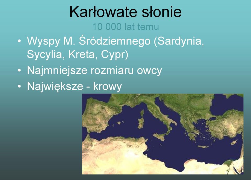 Śródziemnego (Sardynia, Sycylia,