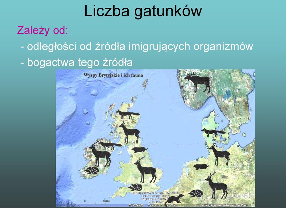 źródła imigrujących