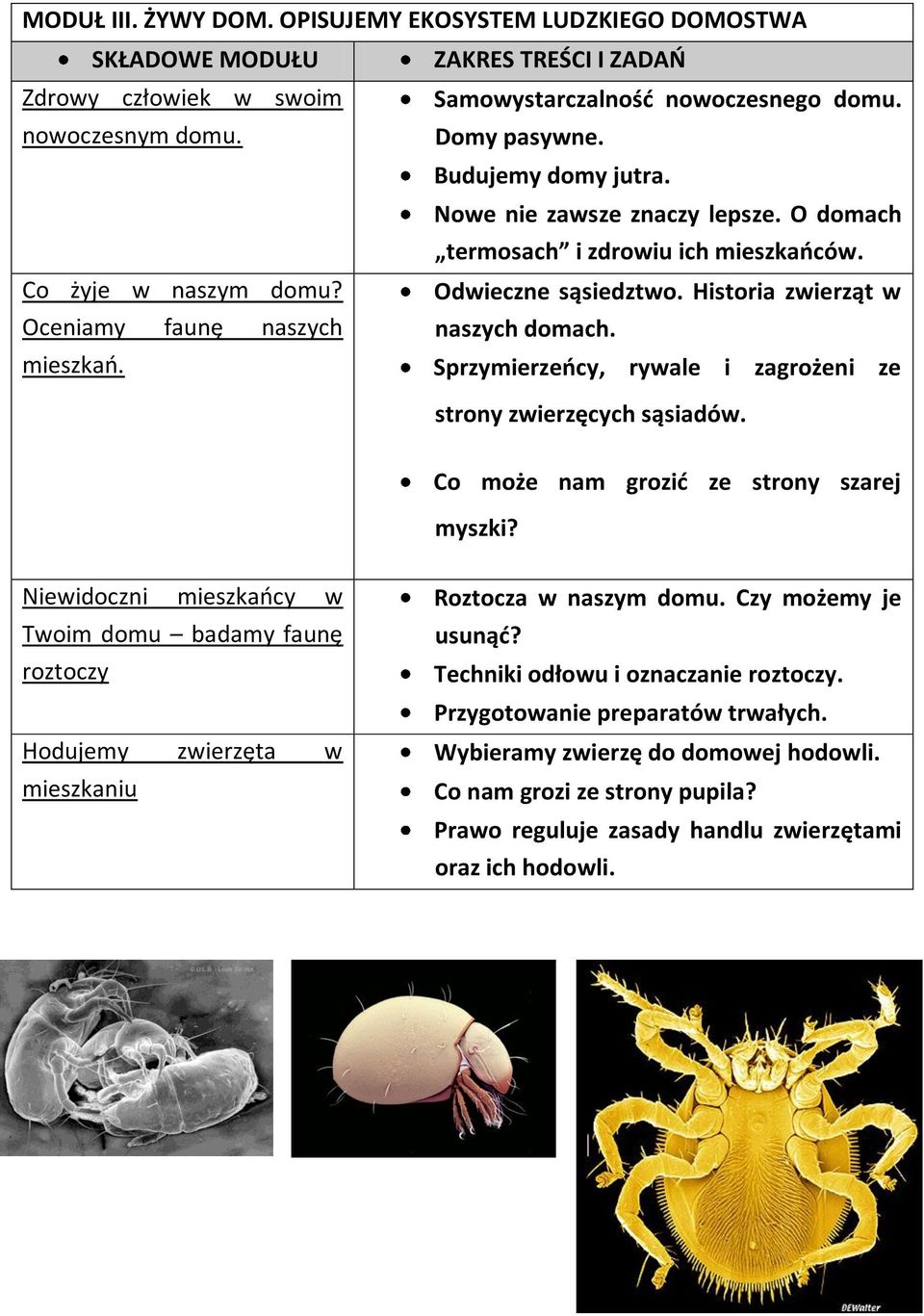 Co może nam grozid ze strony szarej myszki? Niewidoczni mieszkaocy w Twoim domu badamy faunę roztoczy Hodujemy zwierzęta w mieszkaniu Roztocza w naszym domu. Czy możemy je usunąd?