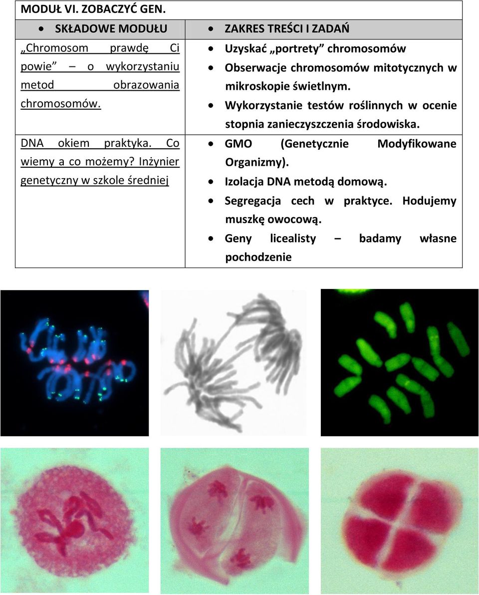 Inżynier genetyczny w szkole średniej Uzyskad portrety chromosomów Obserwacje chromosomów mitotycznych w mikroskopie świetlnym.