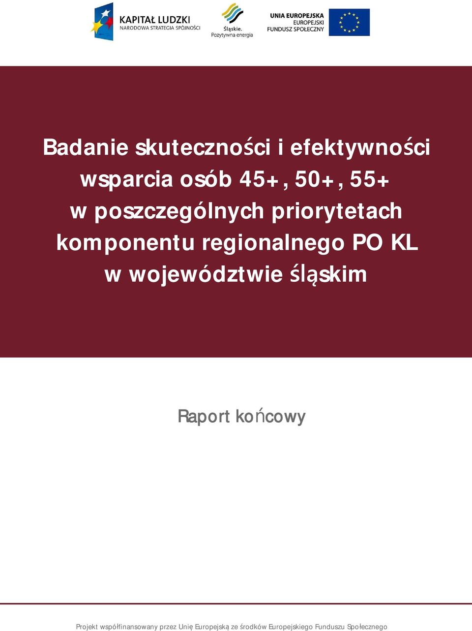 KL w województwie skim Raport ko cowy Projekt wspó finansowany