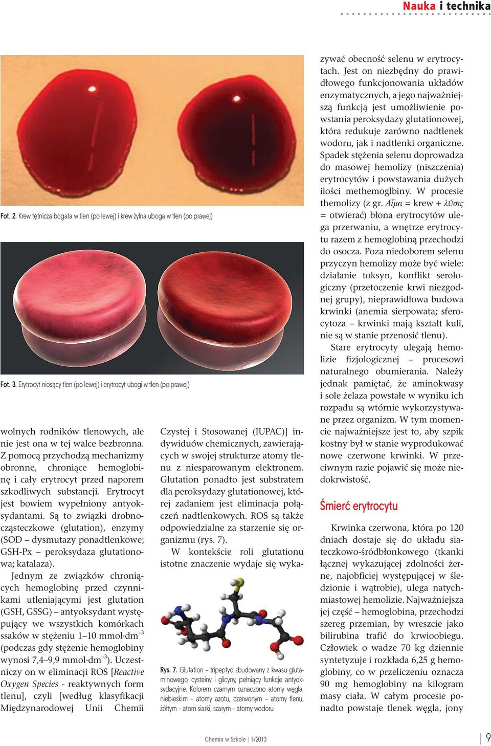 Z pomocą przychodzą mechanizmy obronne, chroniące hemoglobinę i cały erytrocyt przed naporem szkodliwych substancji. Erytrocyt jest bowiem wypełniony antyoksydantami.