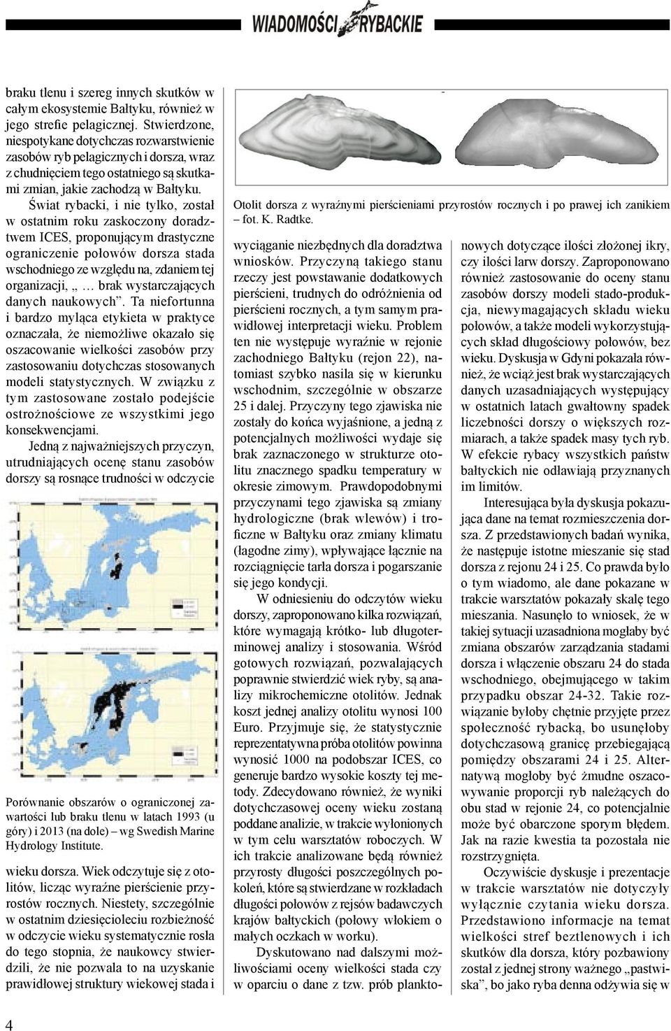 Świat rybacki, i nie tylko, został w ostatnim roku zaskoczony doradztwem ICES, proponującym drastyczne ograniczenie połowów dorsza stada wschodniego ze względu na, zdaniem tej organizacji, brak