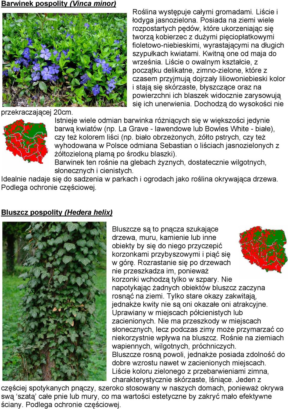 Kwitną one od maja do września.