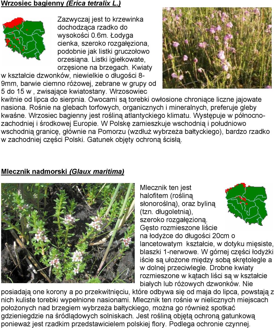 Wrzosowiec kwitnie od lipca do sierpnia. Owocami są torebki owłosione chroniące liczne jajowate nasiona. Rośnie na glebach torfowych, organicznych i mineralnych, preferuje gleby kwaśne.