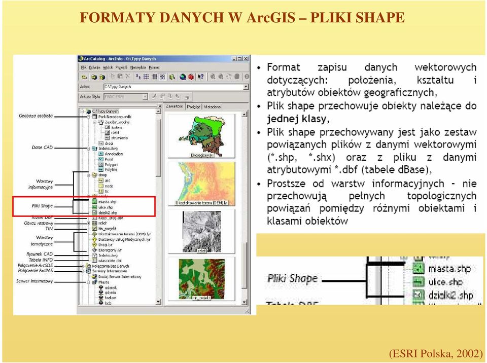 ArcGIS PLIKI