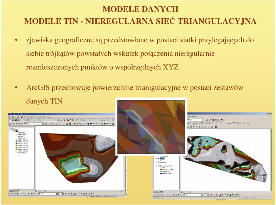 trójkątów powstałych wskutek połączenia nieregularnie rozmieszczonych punktów