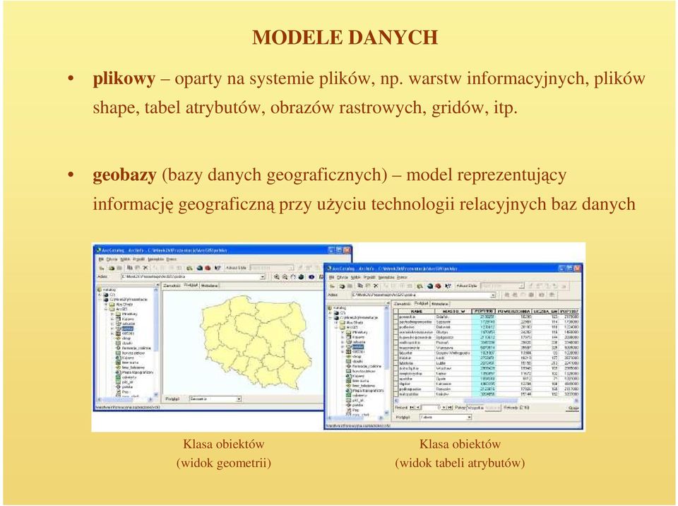 geobazy (bazy danych geograficznych) model reprezentujący informację geograficzną