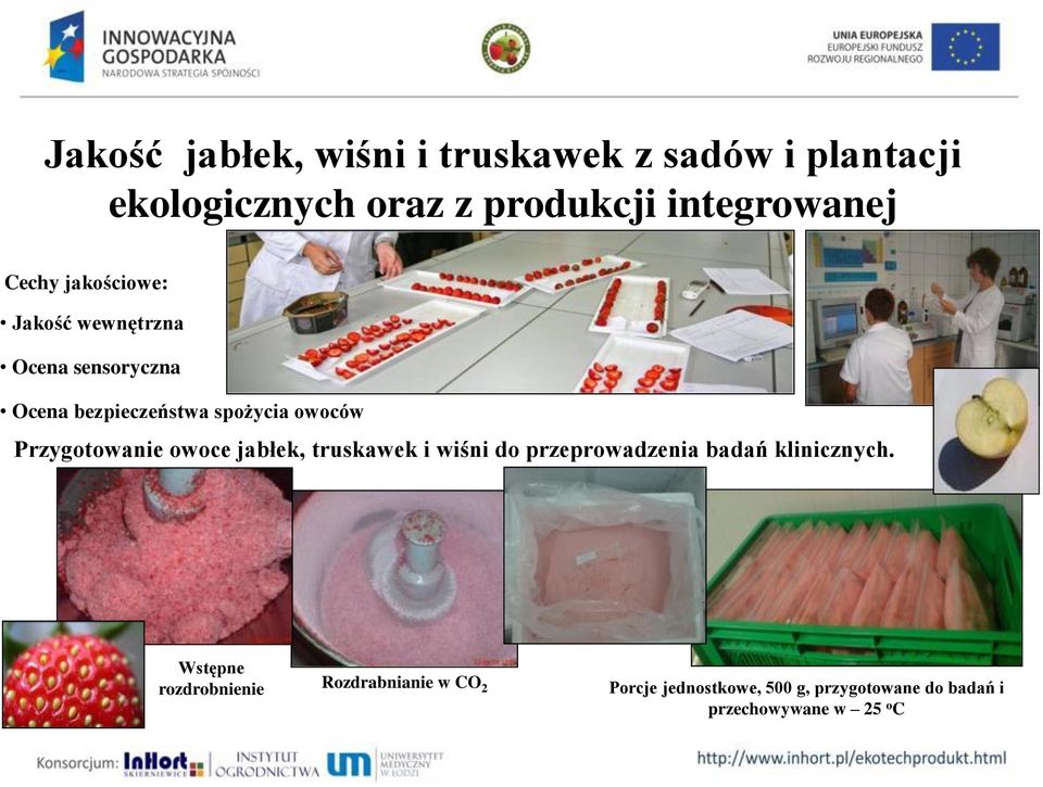 Przygotowanie owoce jabłek, truskawek i wiśni do przeprowadzenia badań klinicznych.