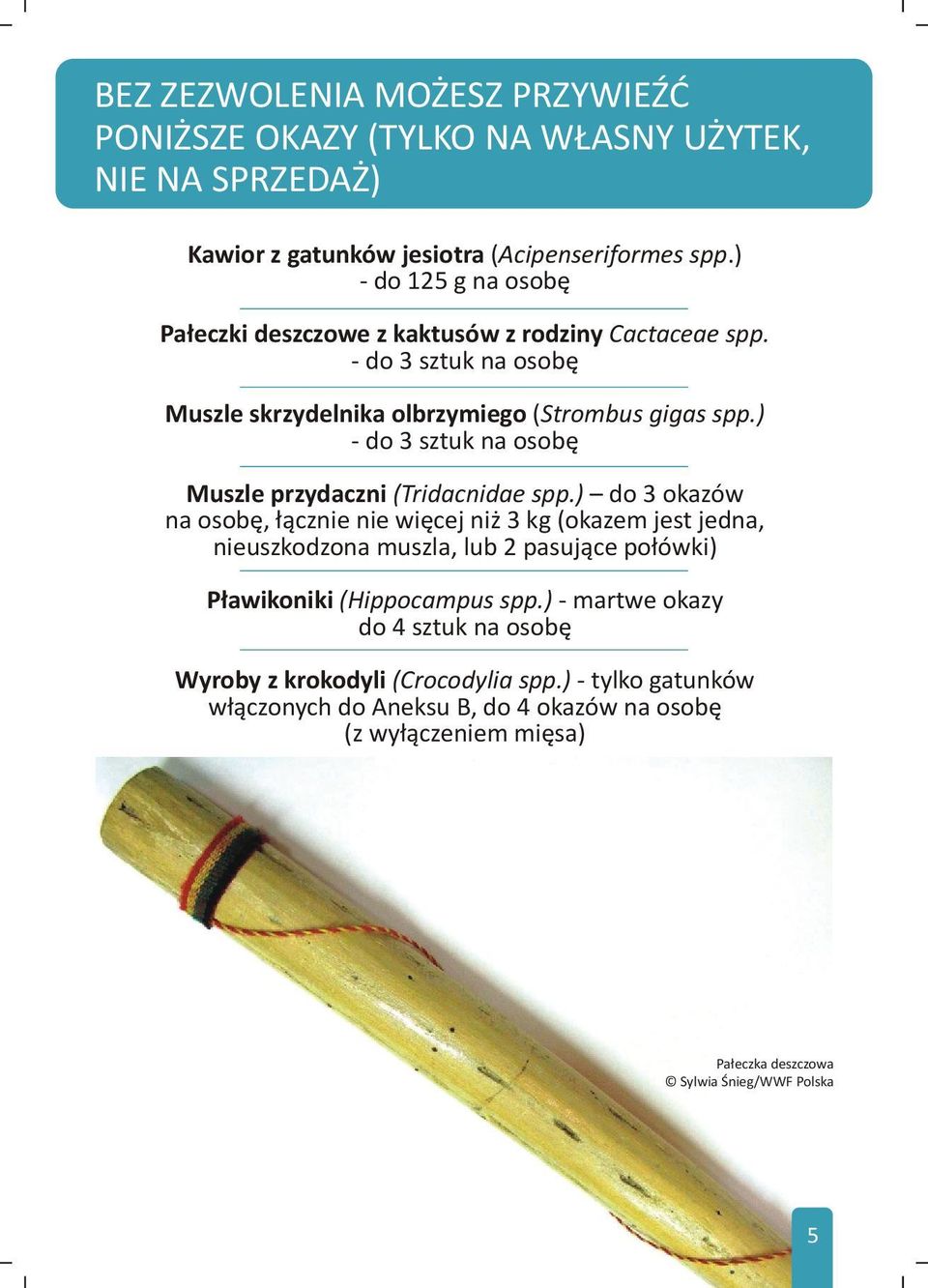 spp) do 3 okazów na osobê, ³¹cznie nie wiêcej ni 3 kg (okazem jest jedna, nieuszkodzona muszla, lub 2 pasuj¹ce po³ówki) P³awikoniki (Hippocampus spp) - martwe okazy do 4