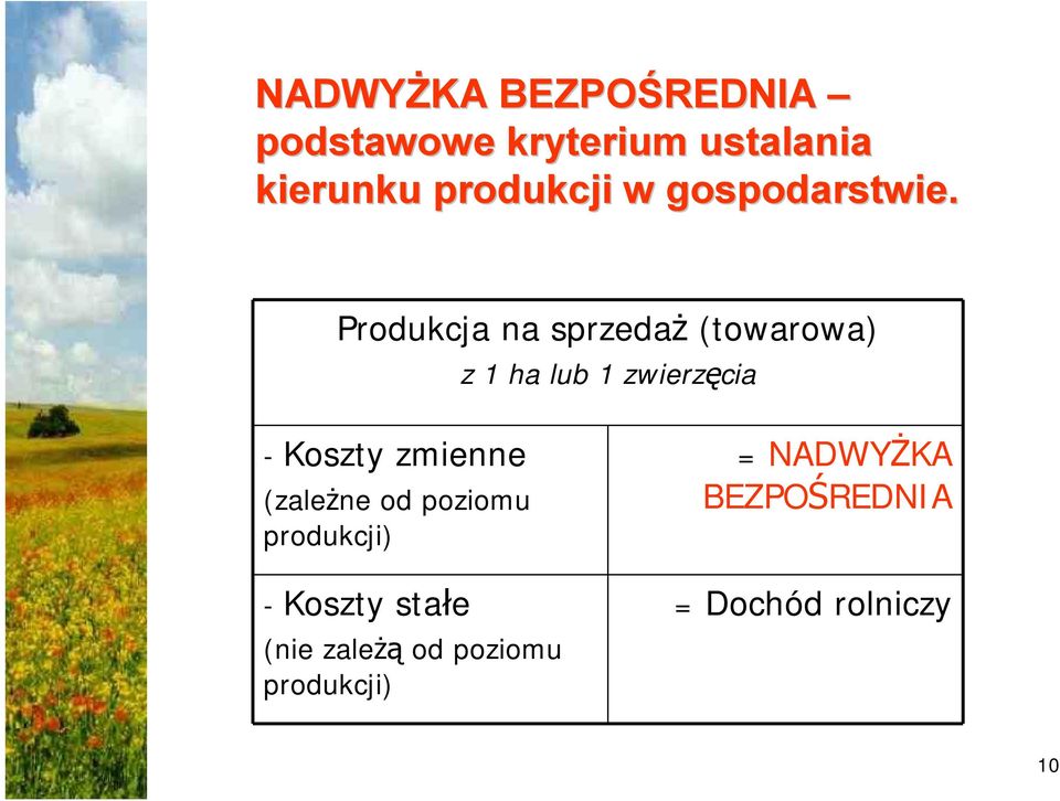 Produkcja na sprzedaż (towarowa) z 1 ha lub 1 zwierzęcia - Koszty