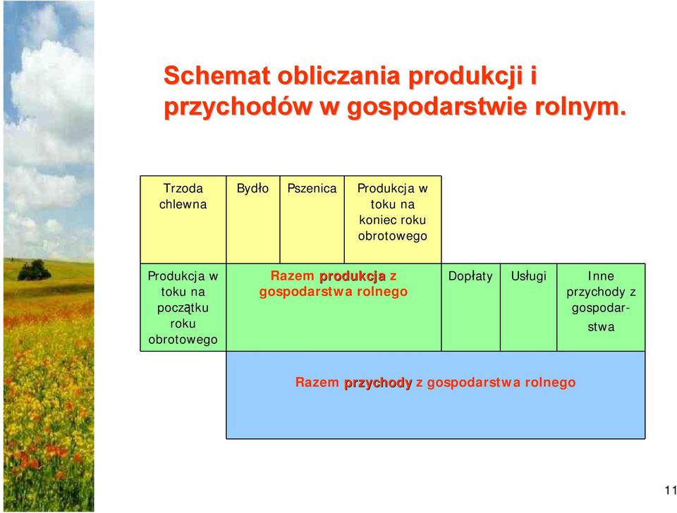 Produkcja w toku na początku roku obrotowego Razem produkcja z gospodarstwa