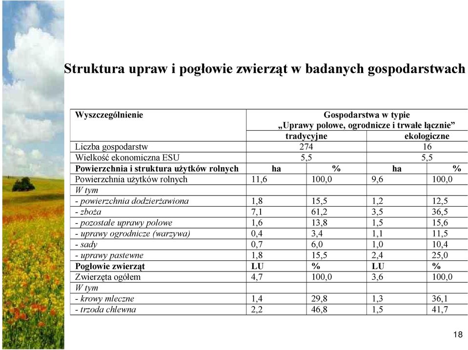 dodzierżawiona 1,8 15,5 1,2 12,5 - zboża 7,1 61,2 3,5 36,5 - pozostałe uprawy polowe 1,6 13,8 1,5 15,6 - uprawy ogrodnicze (warzywa) 0,4 3,4 1,1 11,5 - sady 0,7 6,0 1,0 10,4