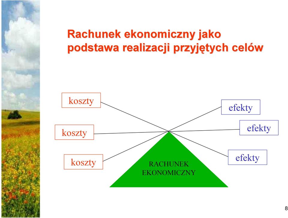 celów koszty koszty efekty