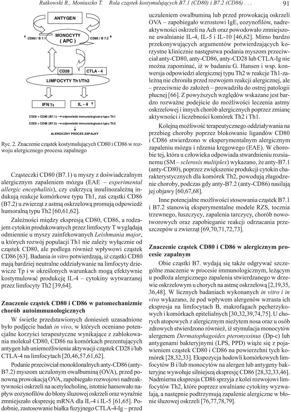 Znaczenie cz¹stek kostymuluj¹cych CD80 i CD86 w rozwoju alergicznego procesu zapalnego Cz¹steczki CD80 (B7.