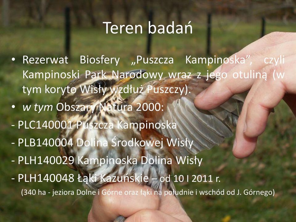 w tym Obszary Natura 2000: - PLC140001 Puszcza Kampinoska - PLB140004 Dolina Środkowej Wisły -