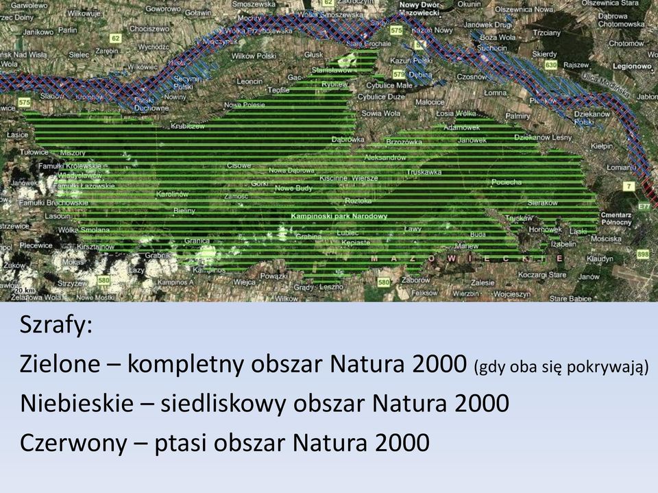 Niebieskie siedliskowy obszar