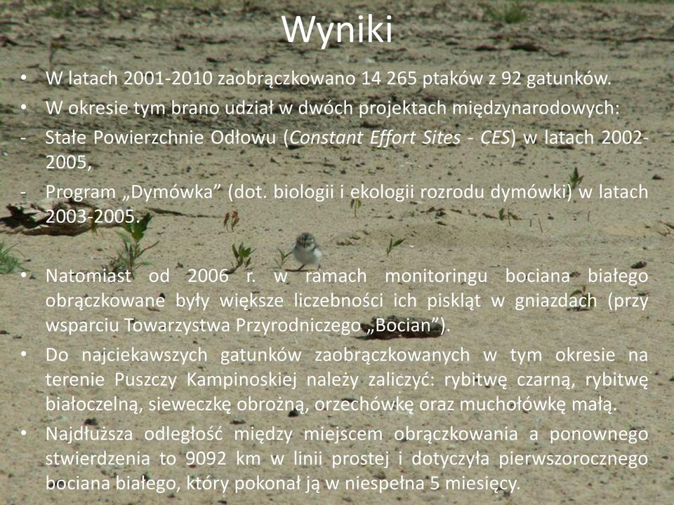 biologii i ekologii rozrodu dymówki) w latach 2003-2005. Natomiast od 2006 r.